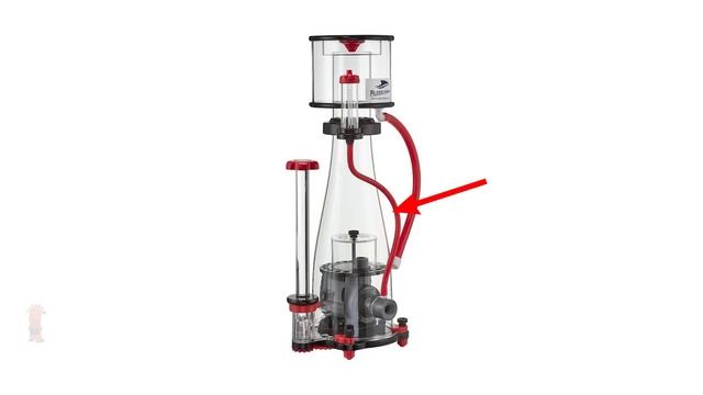 Thomas' Top Protein Skimmers Under $300 and up to 75 Gallons of Reef Tank! смотреть онлайн
