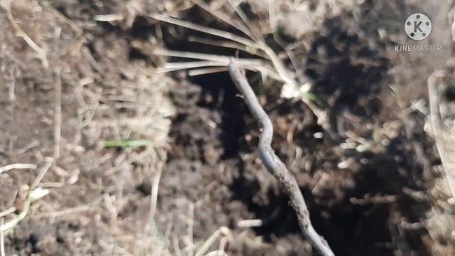 Родное село прогулка с Md4030