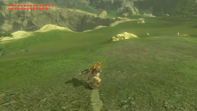 All HIDDEN Surfing Stats in Breath of the Wild EXPLAINED!! смотреть онлайн
