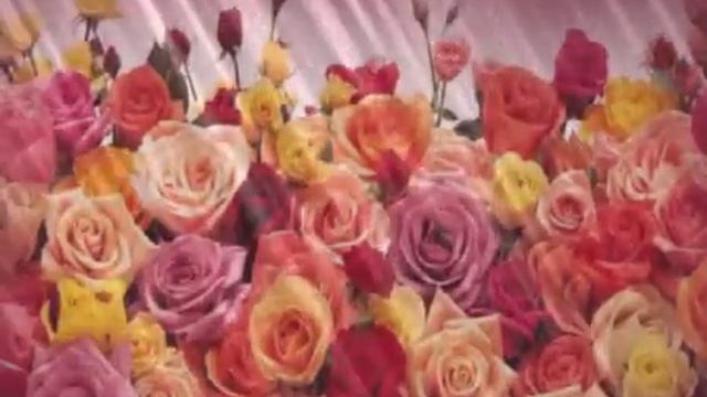 красивые футажи и фоны для монтажа смотреть онлайн
