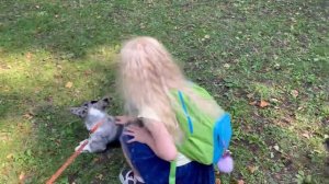 Арина на фестивале домашних животных в Питере, знакомство с Дени и Мэни @DeniMani 🤗😃