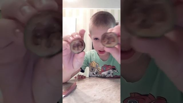 Обзор фрукта фейхуа смотреть онлайн