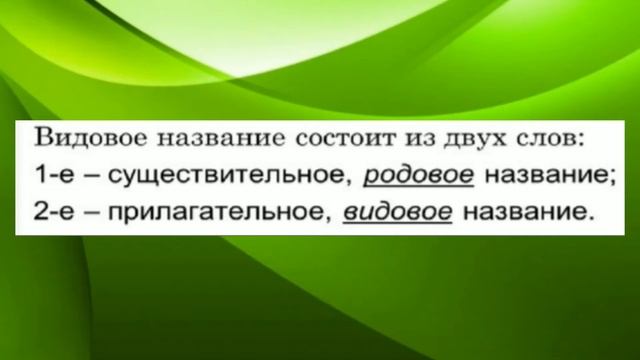 Классификация царства растений смотреть онлайн