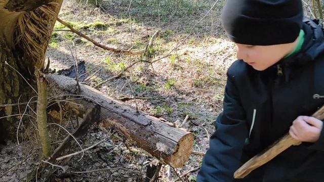 Загадки про весну для детей смотреть онлайн