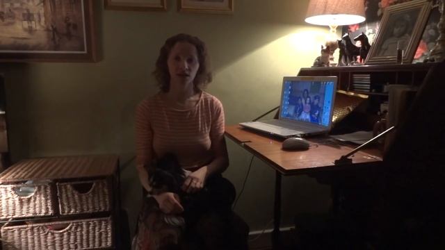 Бездомные животные в Великобритании смотреть онлайн