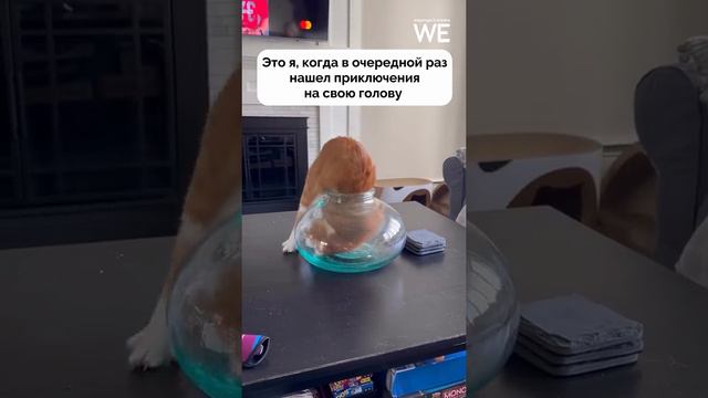 Разведка боем смотреть онлайн
