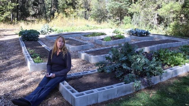 Life in a Tiny House called Fy Nyth - Is Gardening Worth it in a COLD Area? смотреть онлайн