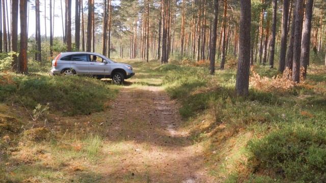 ?ОБЗОР HONDA CR-V 2.0i ГАЗ/БЕНЗИН | ВСЕ БОЛЯЧКИ В ОДНОМ ВИДЕО смотреть онлайн