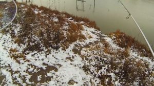 Рыбалка от Михалыча! Михалыч возвращается! Ловим хищника!