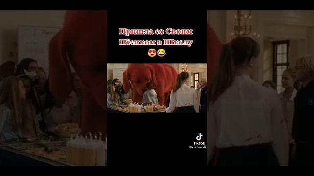большой пёс😱 смотреть онлайн