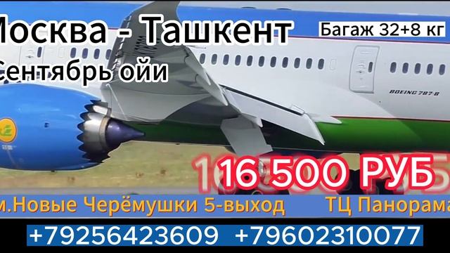Москва - Тошкент Сентябрь ойи нархлари!!! Авиакасса Havo24 смотреть онлайн