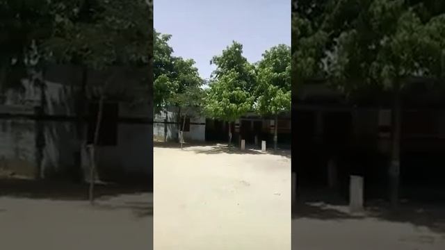 Beti pr git смотреть онлайн