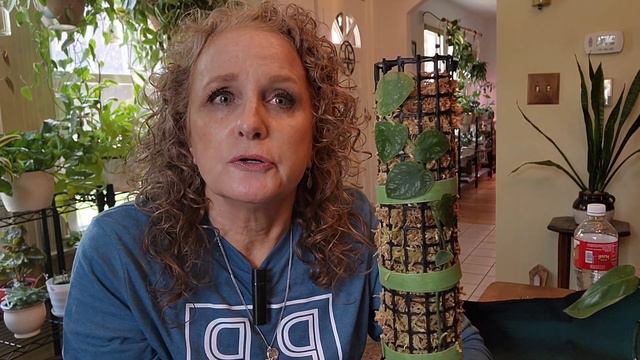 Hoya flowers & Moss Pole Updates смотреть онлайн