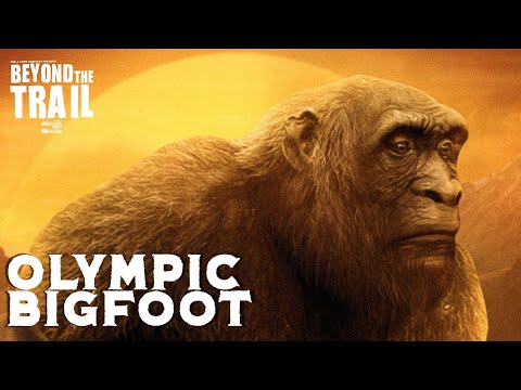 Olympic Bigfoot