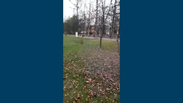 Выпуск серой неясыти смотреть онлайн