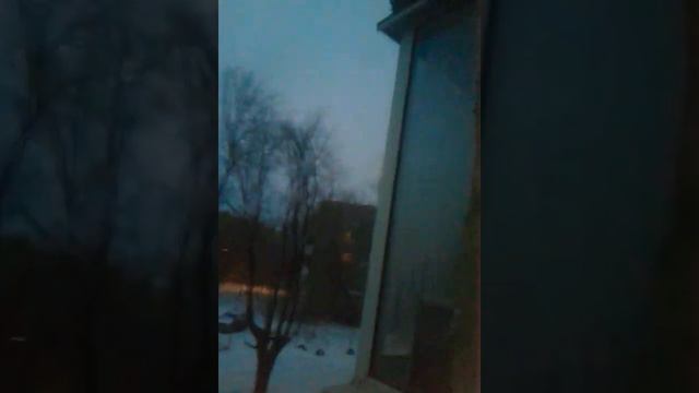 Стайка птиц! Первое видео!!!!???? смотреть онлайн
