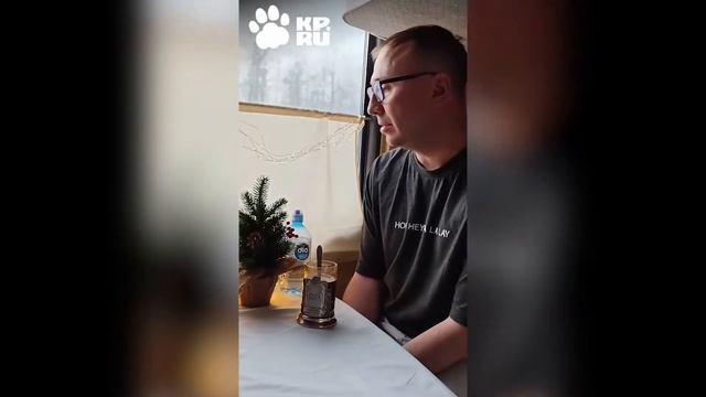 Новогодние забавы в поезде смотреть онлайн