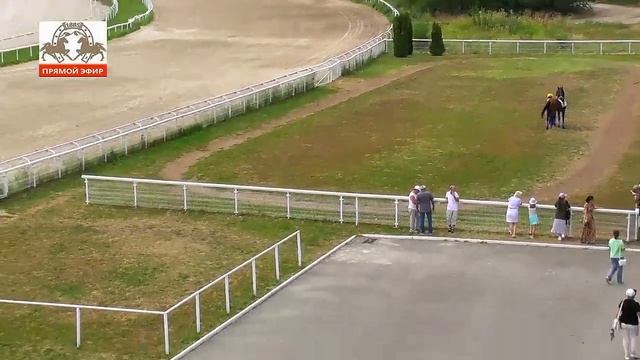 13.08.2023- 16 Скаковой день на Пятигорском ипподроме смотреть онлайн