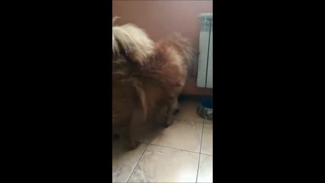 А НАС сегодня будут кормить смотреть онлайн