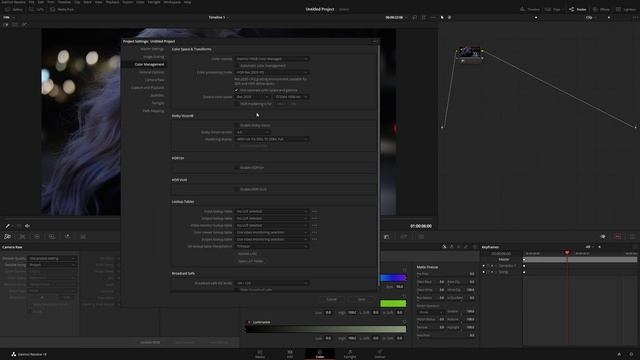 HDR Workflow with Davinci Resolve 18 | Part 1 - Project Setup смотреть онлайн