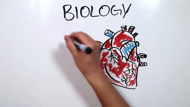 Draw My Life - aCookieGod (5,000,000 Subscriber Special) смотреть онлайн