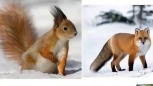 Презентация для детей   Зима