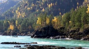 Настрой академика Сытина Г Н Восстановдение и Оздоровление нервно мозгового аппарата движений