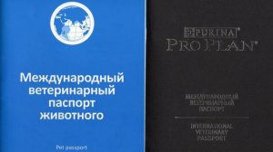 Документы на щенка при покупке