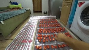 Сушилка для овощей и фруктов  Своими руками