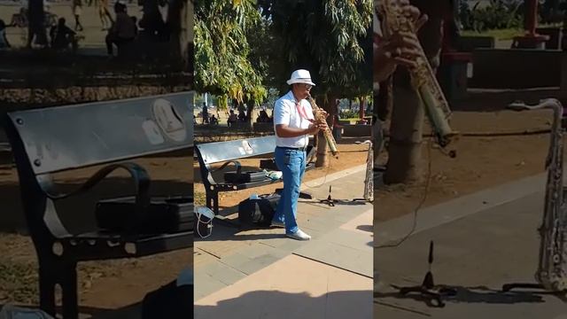 Ost Titanic saxophone cut смотреть онлайн