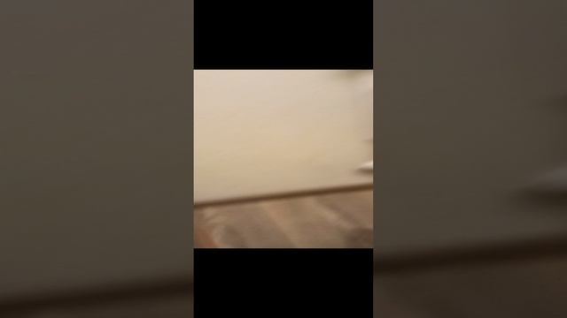 VID_20231106_192851.mp4 смотреть онлайн