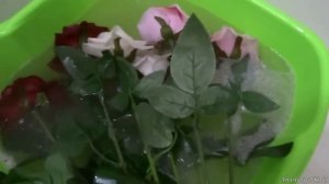 Как ухаживать за искусственными цветами