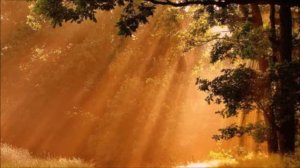 Тебя к себе прижму не отпущу