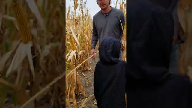 #1 Golden Harvest test plot 2018 смотреть онлайн
