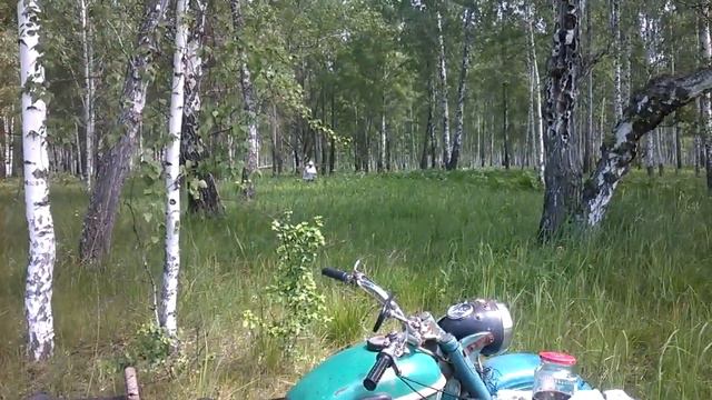 лес ранней весной 2016 Татьяна Павловна смотреть онлайн