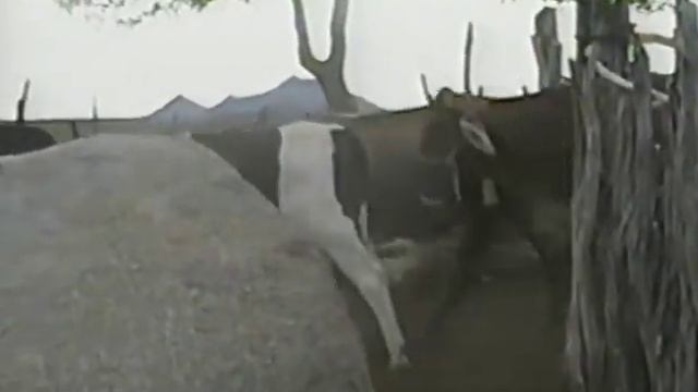 Sitio Jurema 02 01 2004 смотреть онлайн