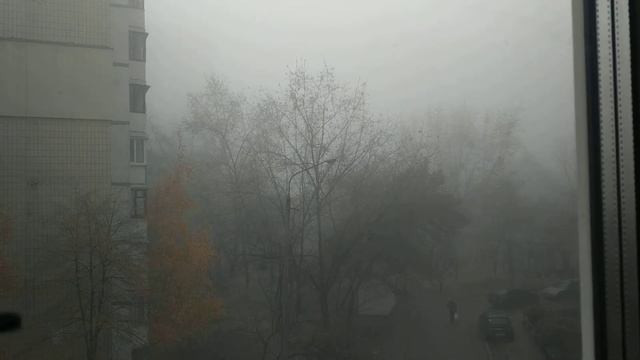С днём вышивальщицы! смотреть онлайн