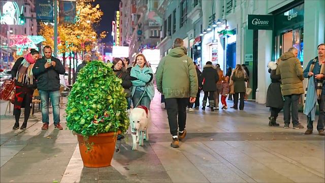 Bushman Prank: Scaring People in Gran Vía Street ! смотреть онлайн
