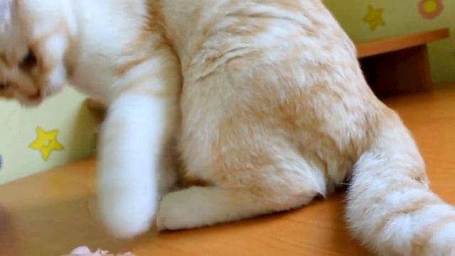 Илюша 4 месяца смотреть онлайн