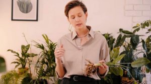 Спасаем стрелицию Регина