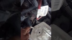 ремонт сцепления fiat albea