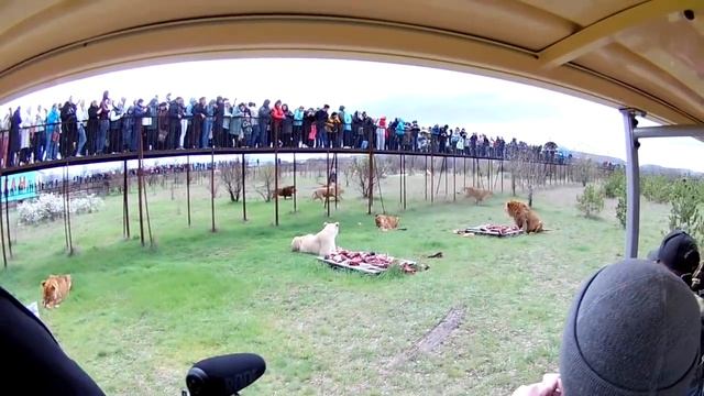 Это произошло ? смотреть онлайн