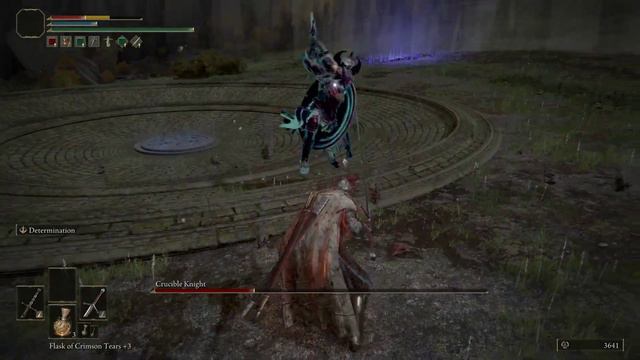 Killed Crucible Knight Within An Inch Of My Life