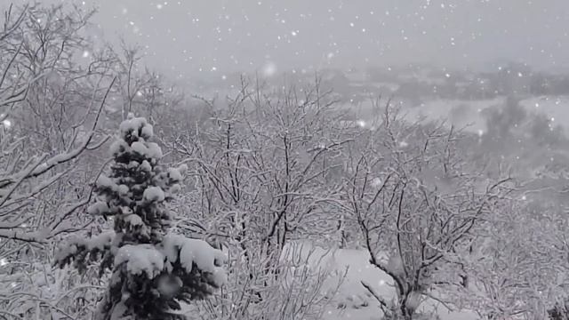 Заметает Зима, заметает... смотреть онлайн