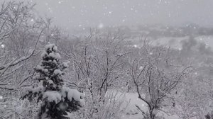 Заметает Зима, заметает...