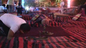 Заклинатель змей. Египет. Наама Бей.