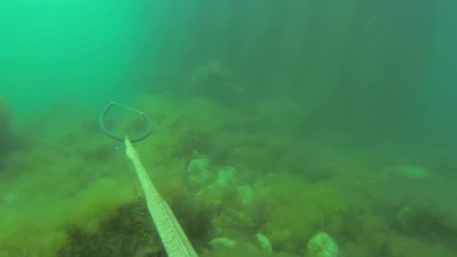 Подводная охота Крым, Лобан 5.05.2012 arsi@охота смотреть онлайн