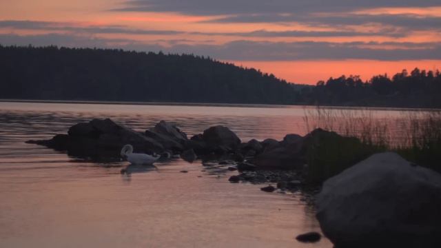 Sverige (Wilhelm Stenhammar) - Korgossarna смотреть онлайн