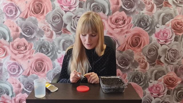 ЛУЧШЕ ПЕТУНИИ! Посейте КАЛИБРАХОА и САМИ В ЭТОМ УБЕДИТЕСЬ! смотреть онлайн