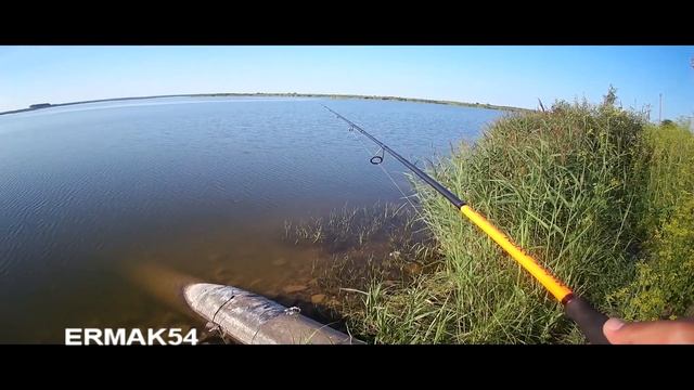 Ловля окуня летом на отводной смотреть онлайн